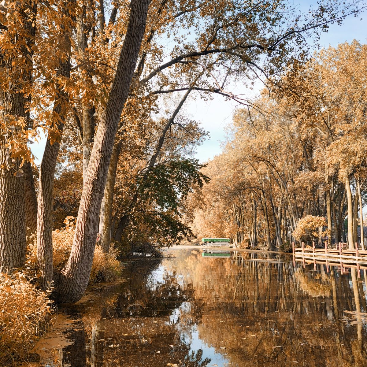 Arbres aux couleurs d'automne bordant l'eau, ambiance d'arrière-saison le long d'un cours d'eau